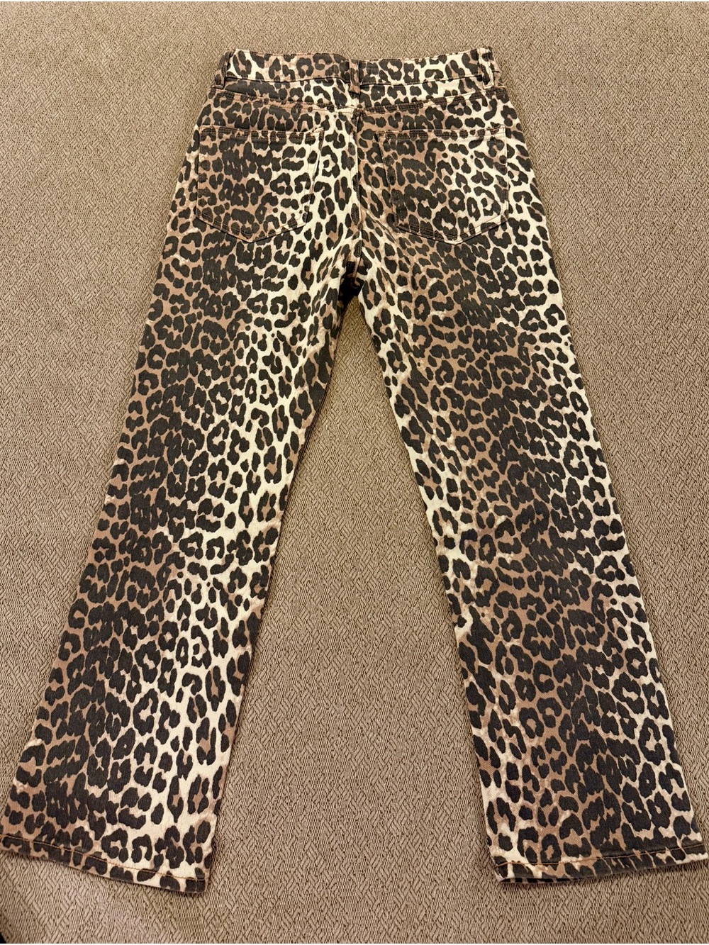 Oat New York Leopard Print Bootcut Pants in Brown and Cream